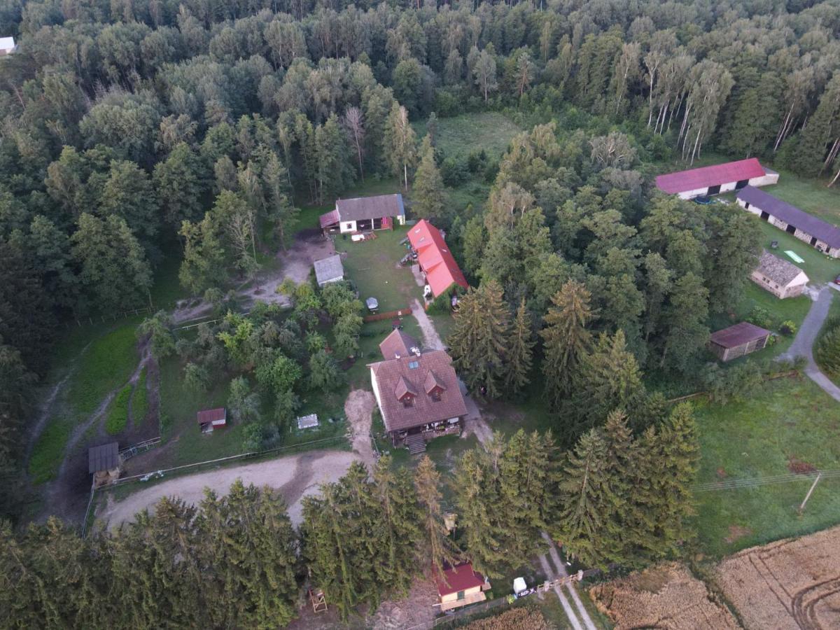 Kurnik Polski Agroturystyka Tykocin Εξωτερικό φωτογραφία