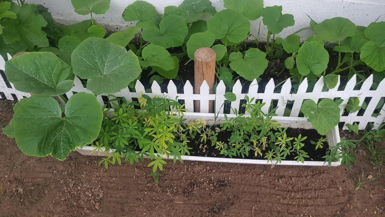 Kurnik Polski Agroturystyka Tykocin Εξωτερικό φωτογραφία