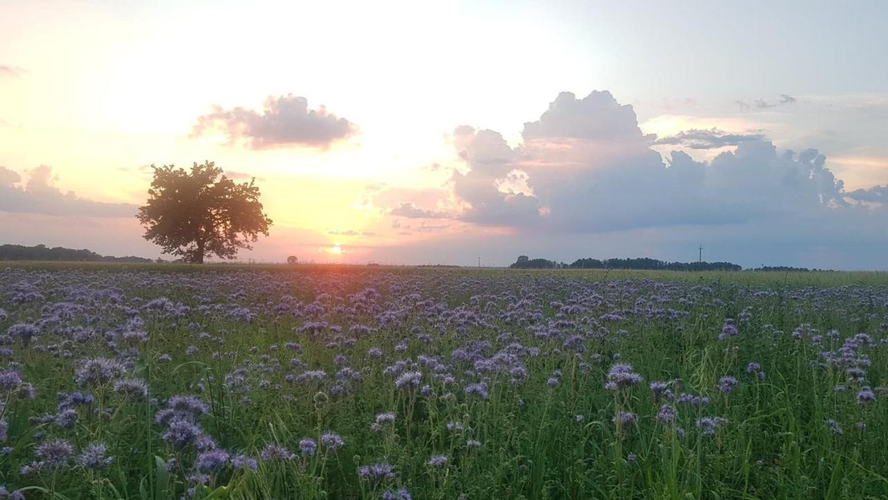 Kurnik Polski Agroturystyka Tykocin Εξωτερικό φωτογραφία