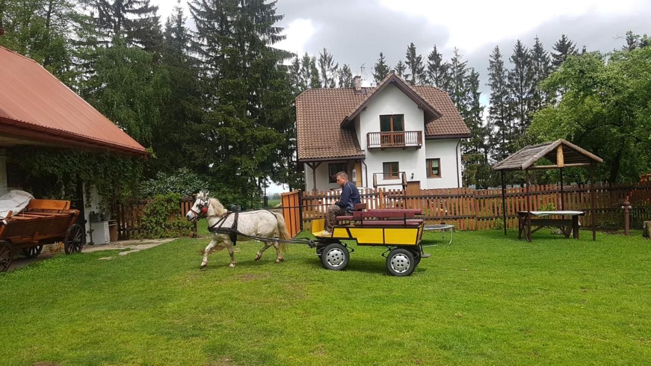 Kurnik Polski Agroturystyka Tykocin Εξωτερικό φωτογραφία